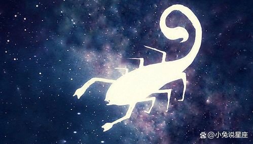 和不爱的人过一生，天蝎座女生到了婚龄最恐慌的事是什么？