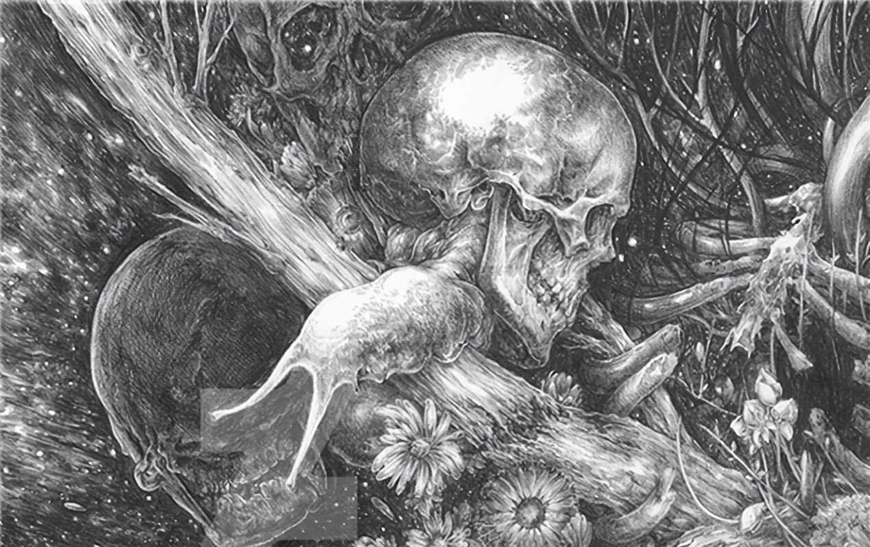 mori西班牙语什么意思