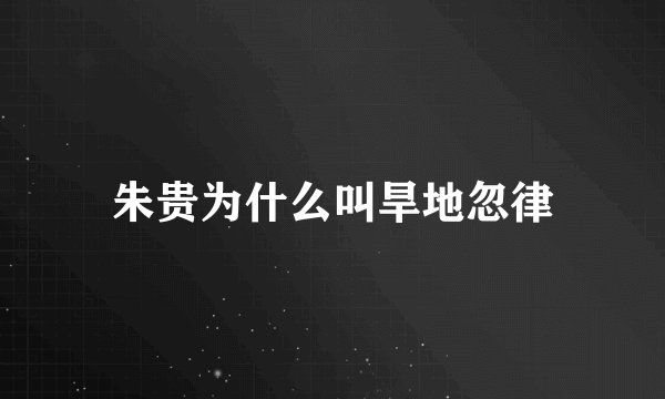 朱贵为什么叫旱地忽律