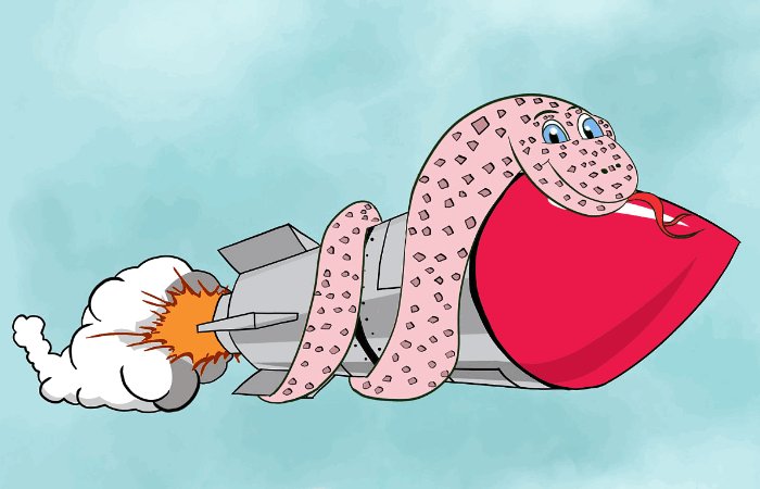 2024年生肖排位表