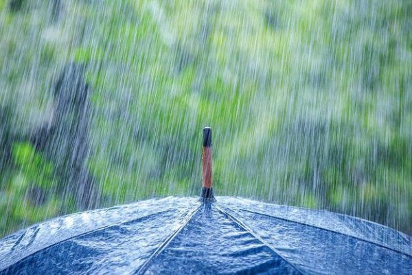 双双是什么意思