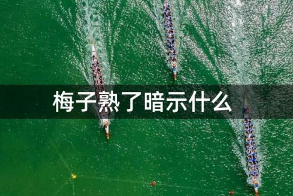 梅子熟了暗示什么意思