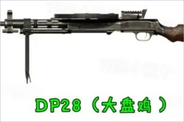 大菠萝大盘鸡是什么枪