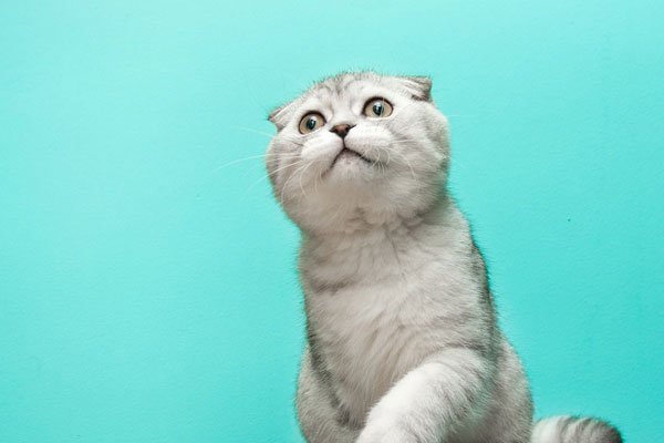 13579啥意思 女孩子也是没什么内涵了