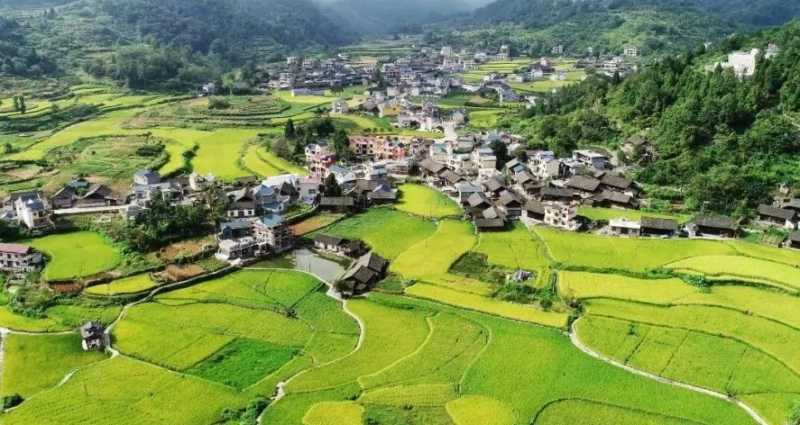 生活在农村山区的儿子如果带上自己的妈外省打工，母子俩租住同一张床，同样经历过的吗？能否再接受别的事