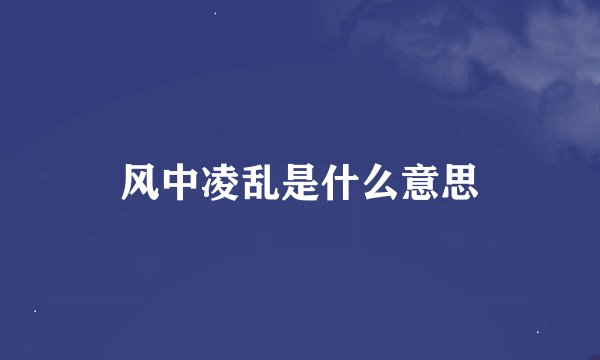 风中凌乱是什么意思