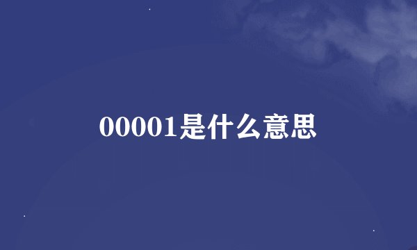 00001是什么意思