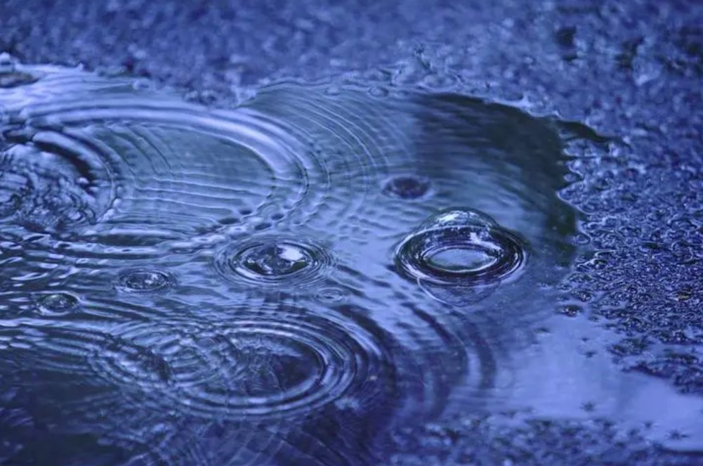 澍怎么读什么意思