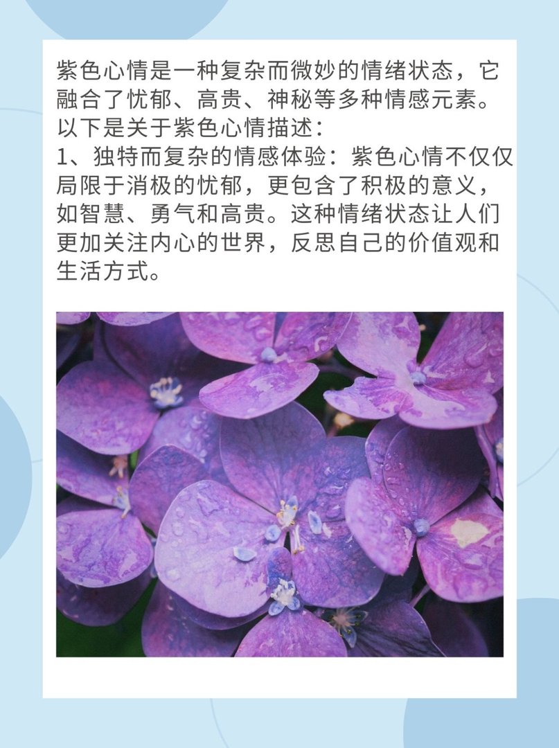 紫色心情是什么意思？