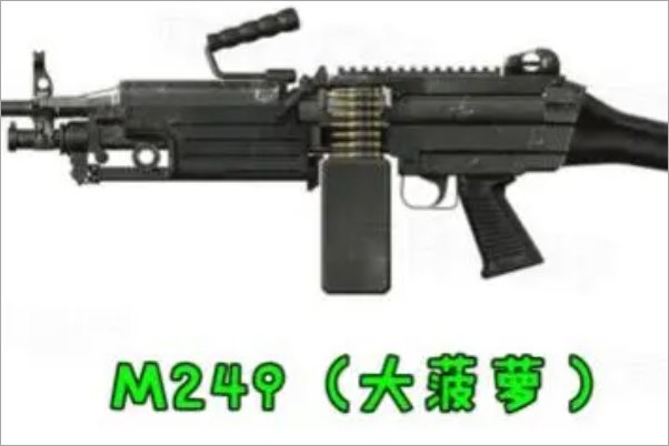 大菠萝大盘鸡是什么枪