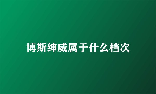 博斯绅威属于什么档次