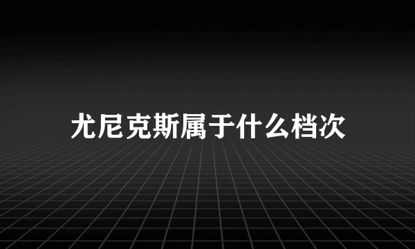 尤尼克斯属于什么档次