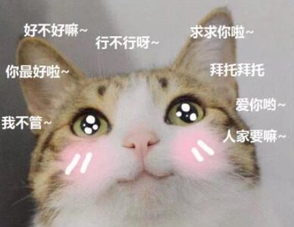 撒娇八连是哪几句？