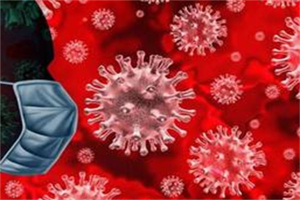 日本发现新病毒至少7人感染，这一病毒的特点是什么？