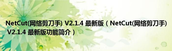 NetCut网络剪刀手V214最新版NetCut网络剪刀手V214最新版功能简介