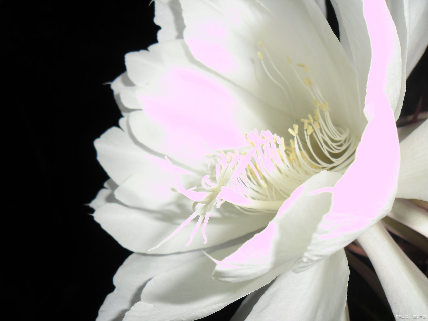 正处级是什么级别