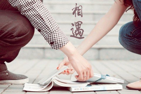 心有所属,爱有所向,彼此珍惜,来之不易…什么意思？