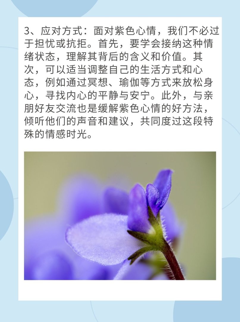 紫色心情是什么意思？