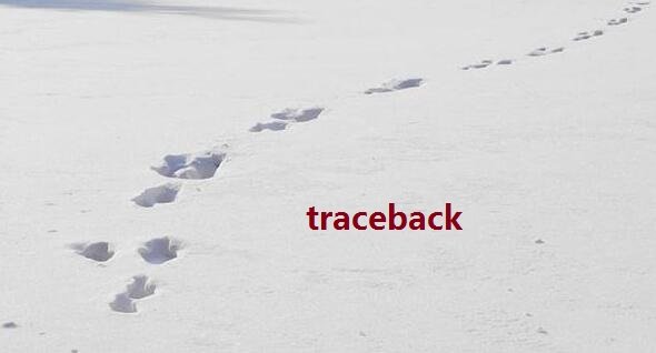 traceback是什么意思？