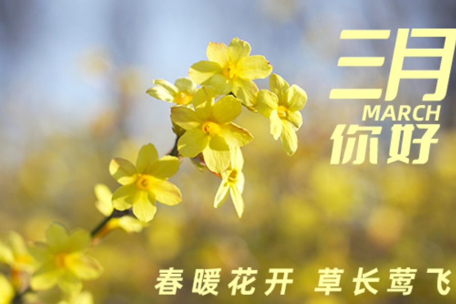 三月不负春光的唯美句子