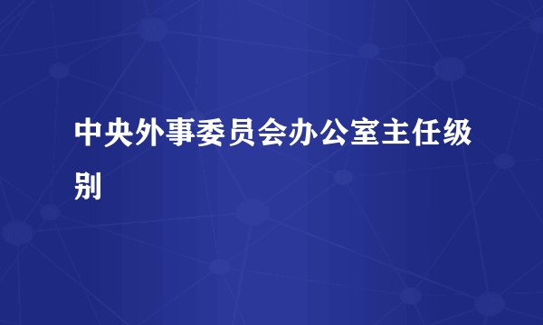 中央外事委员会办公室主任级别