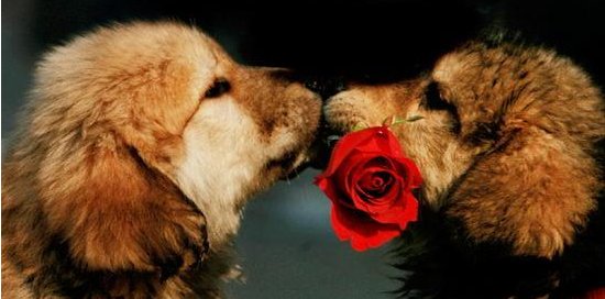 FWB是什么意思？