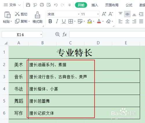 专业特长填什么