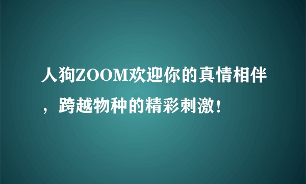 人狗ZOOM欢迎你的真情相伴，跨越物种的精彩刺激！