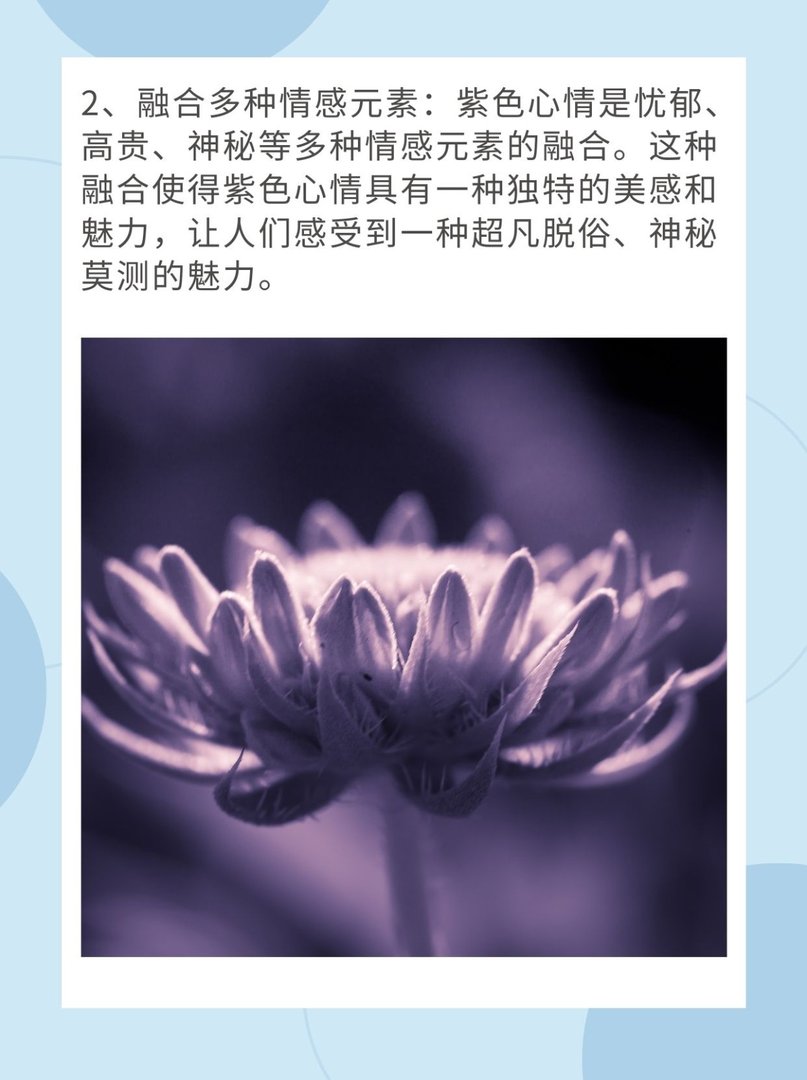 紫色心情是什么意思？