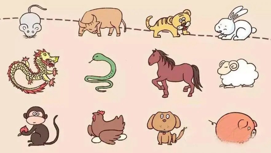 今晚一定出最准确的生肖