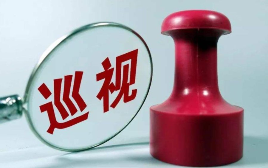 巡视组是干什么的