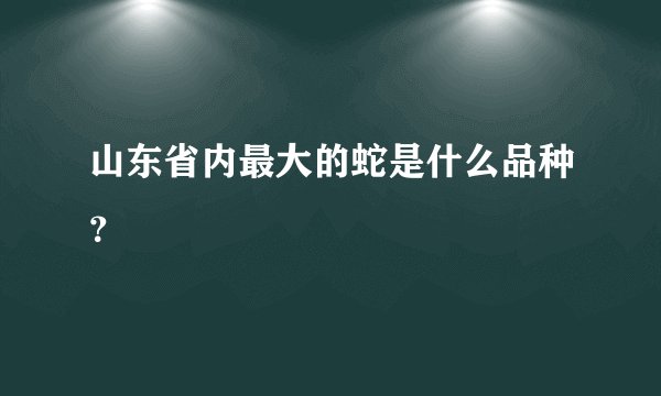 山东省内最大的蛇是什么品种？