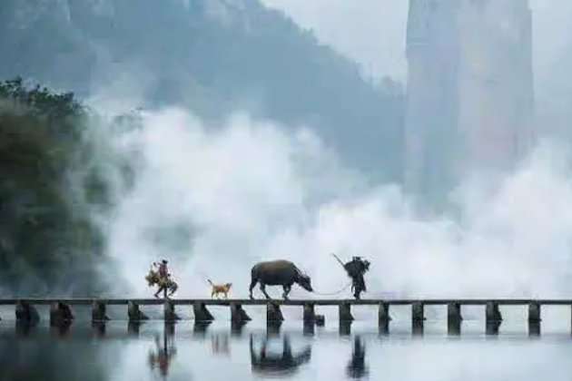 清心寡欲意思是什么