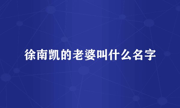 徐南凯的老婆叫什么名字