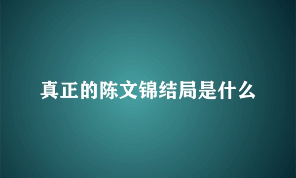真正的陈文锦结局是什么