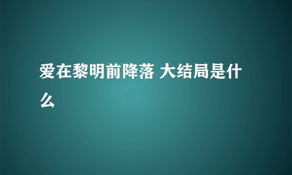 爱在黎明前降落 大结局是什么