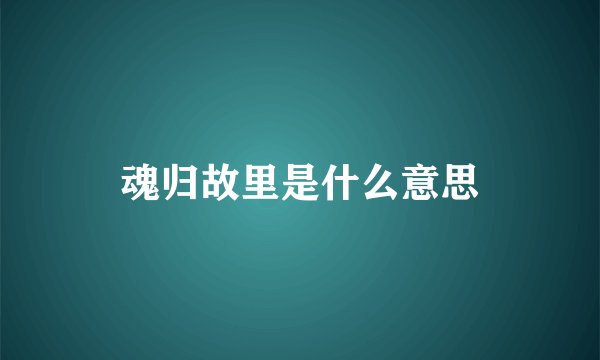 魂归故里是什么意思