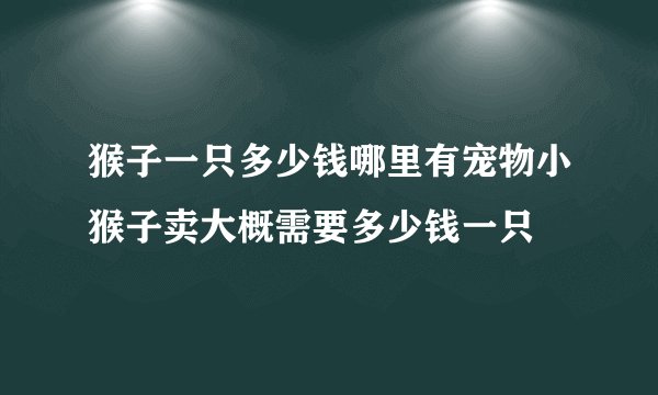 猴子一只多少钱哪里有宠物小猴子卖大概需要多少钱一只