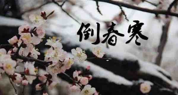 料峭春寒的意思