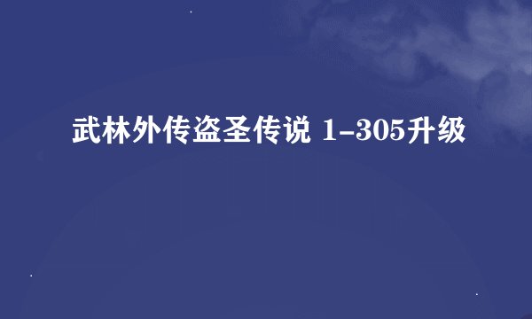武林外传盗圣传说 1-305升级