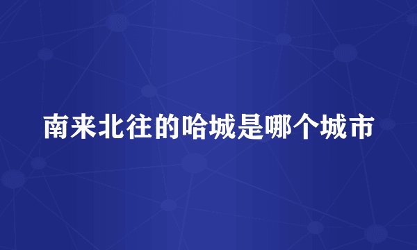 南来北往的哈城是哪个城市