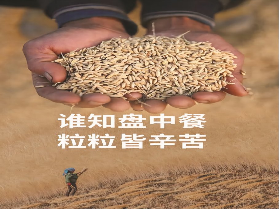 粒粒皆辛苦的古诗原文