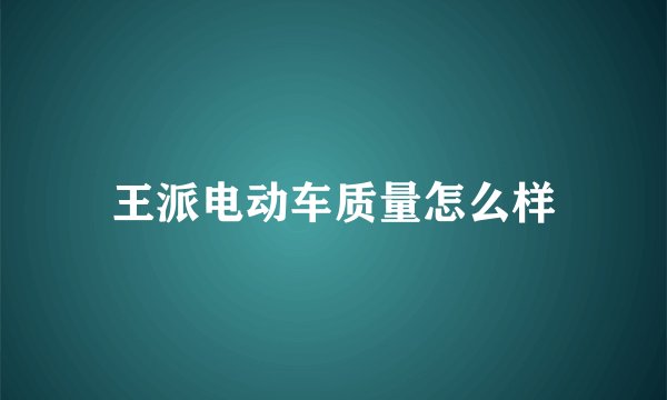 王派电动车质量怎么样