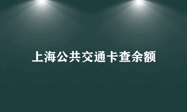 上海公共交通卡查余额