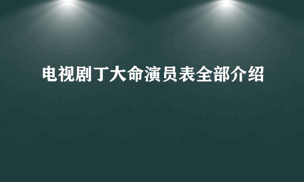 电视剧丁大命演员表全部介绍