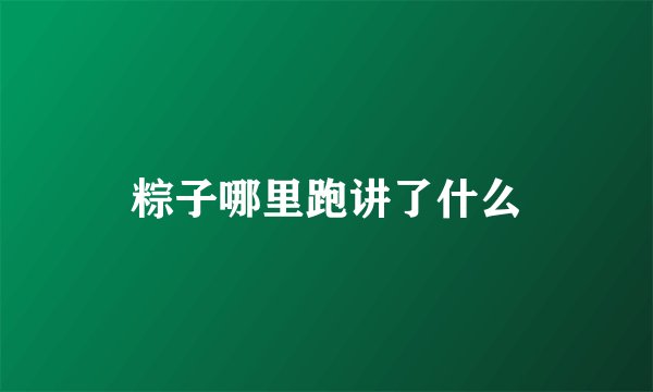 粽子哪里跑讲了什么