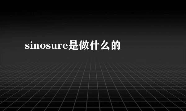 sinosure是做什么的