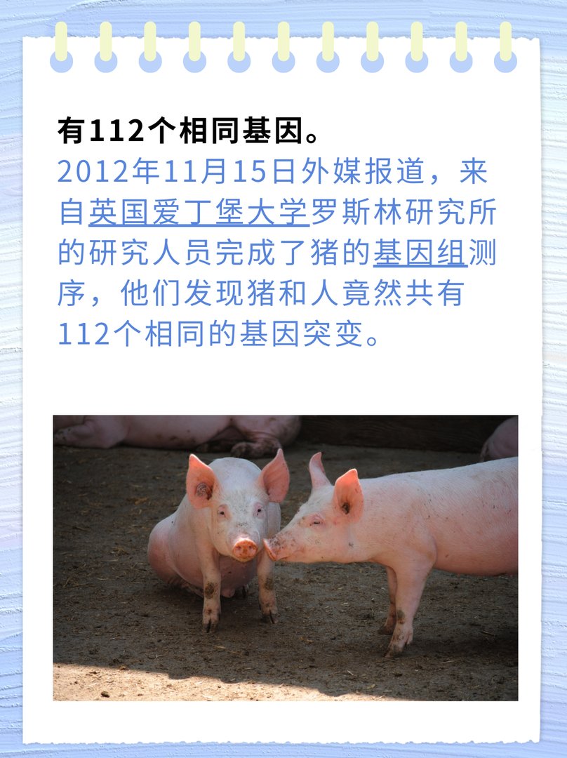 人的dna和猪的dna的相似度