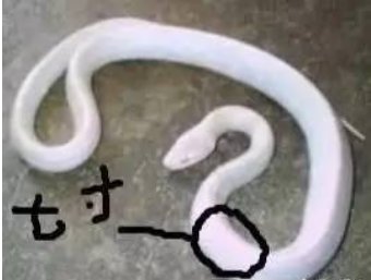 七寸是多少厘米