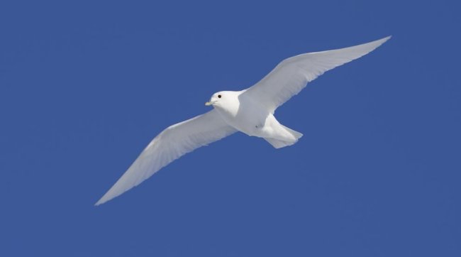 读书破万卷，下笔如有神的上一句？